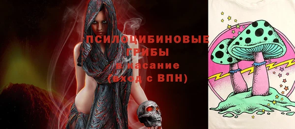 ПСИЛОЦИБИНОВЫЕ ГРИБЫ Алексеевка