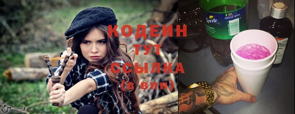 прущие грибы Алзамай