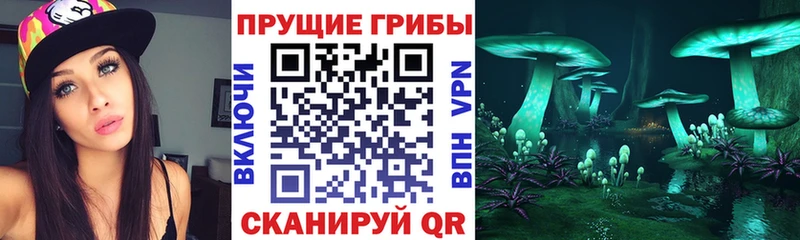 купить закладку Красноуфимск Галлюциногенные грибы Cubensis