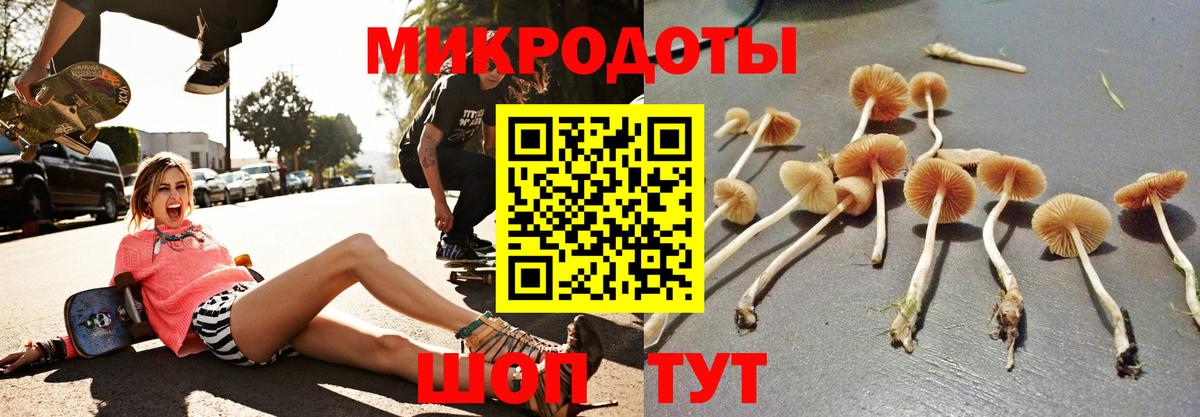 Красноуфимск  Галлюциногенные грибы прущие грибы  Вход с VPN 